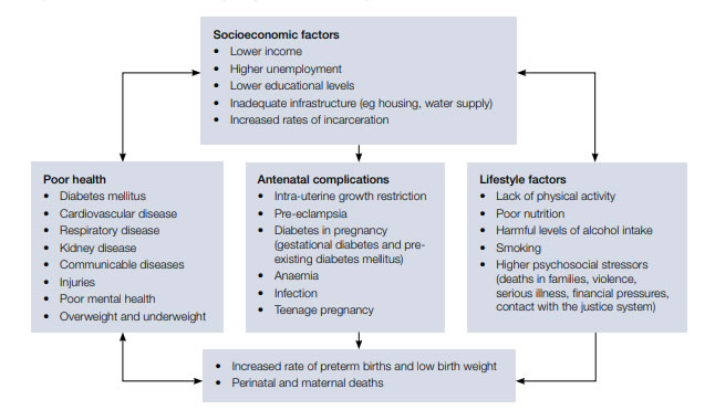 Figure 1. Factors that influence pregnancy outcomes in Aboriginal and Torres Strait Islander women