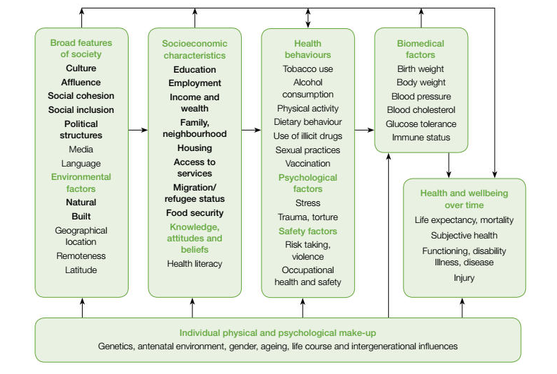 The determinants of health and illness