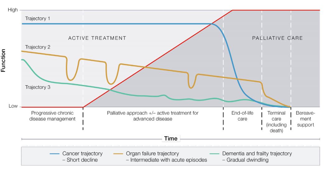 Figure 1. Typical illness trajectories and palliative care phases towards the end of life