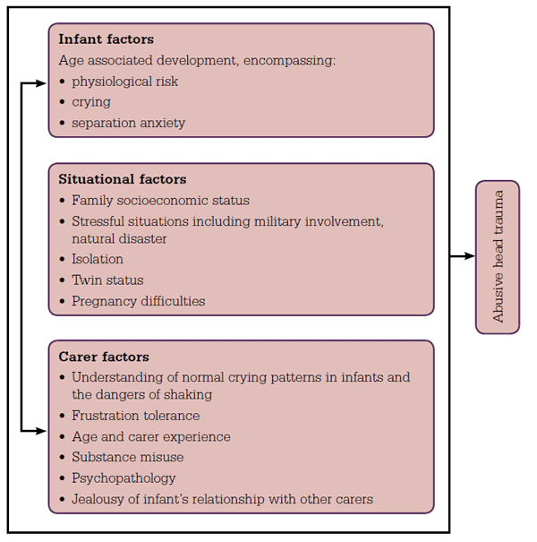 Figure 1. Aetiology of abusive head trauma
Adapted from Kaltner, 2010