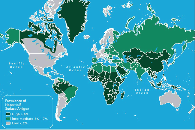 Figure 1. Global prevalence of chronic hepatitis B