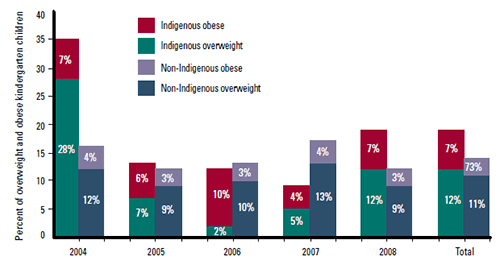 Figure 2. Overweight and obesity in kindergarten children, 2004–08