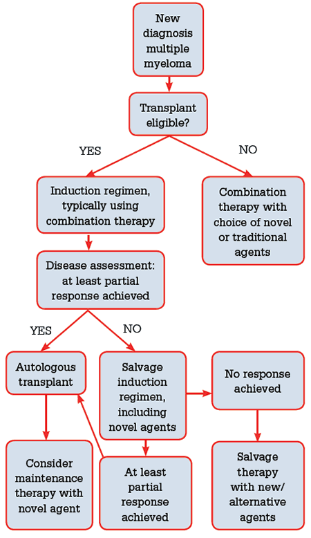 Figure 3. Treatment flow chart for newly diagnosed multiple myeloma