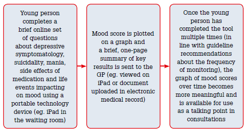 Figure 1. Features of the monitoring tool for youth depression