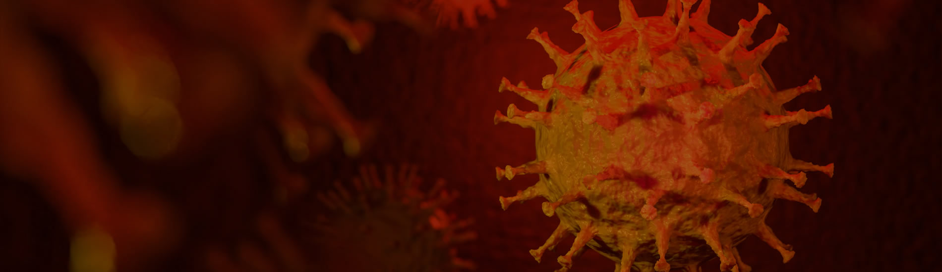  Information for GPs on coronavirus 