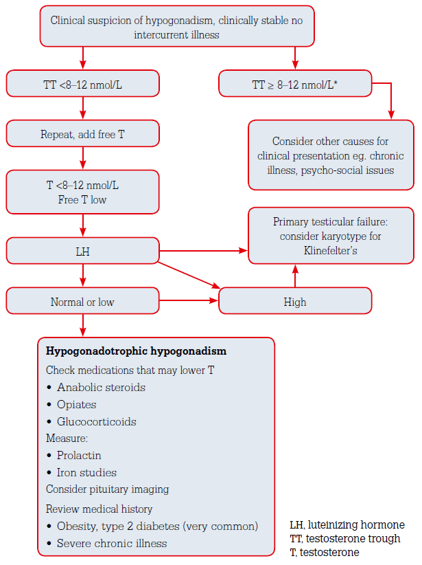 Teenage Testosterone Levels Chart