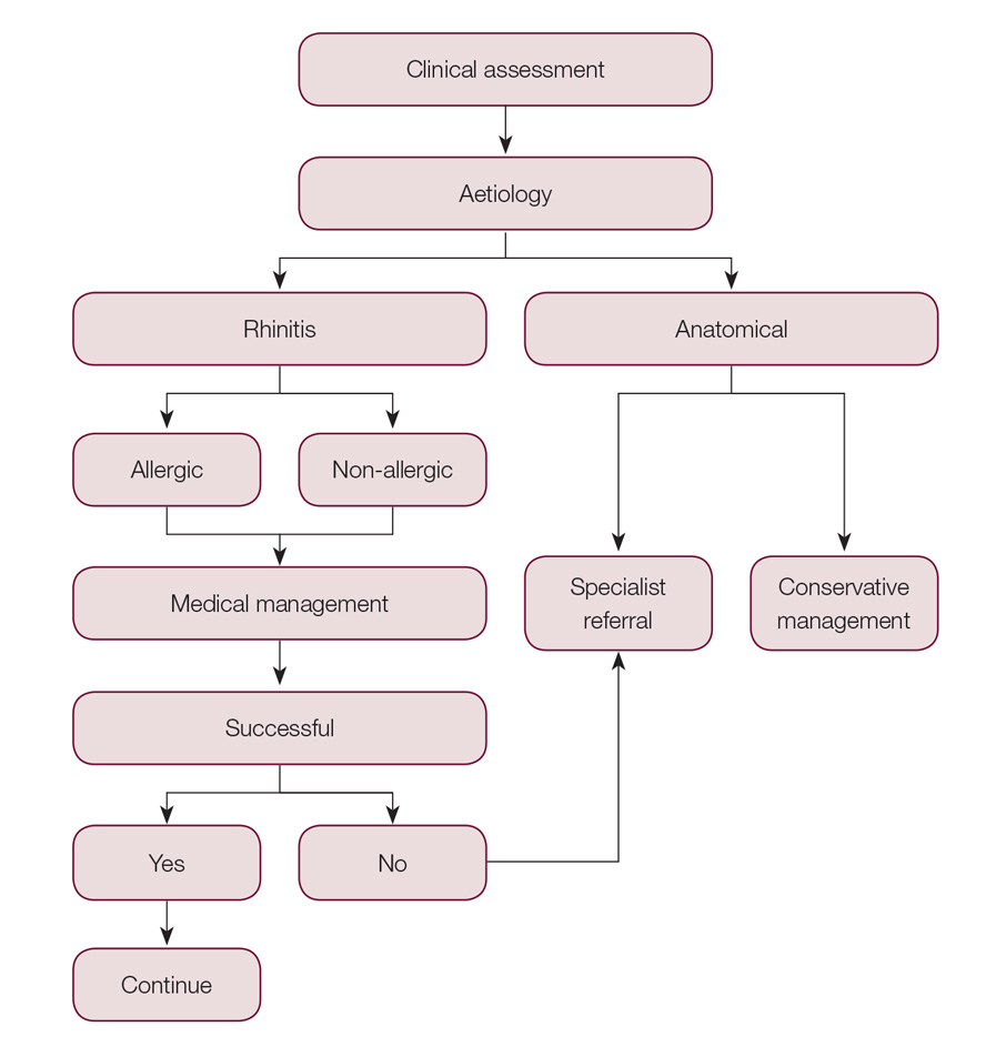 Pathophysiology Of Rhinitis In Flow Chart