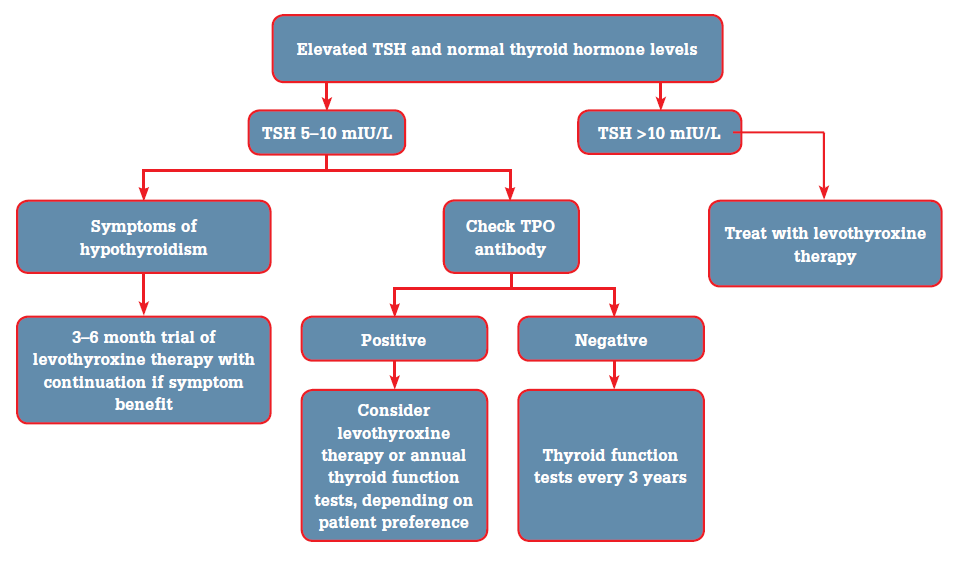 Pathophysiology Of Hypothyroidism In Flow Chart