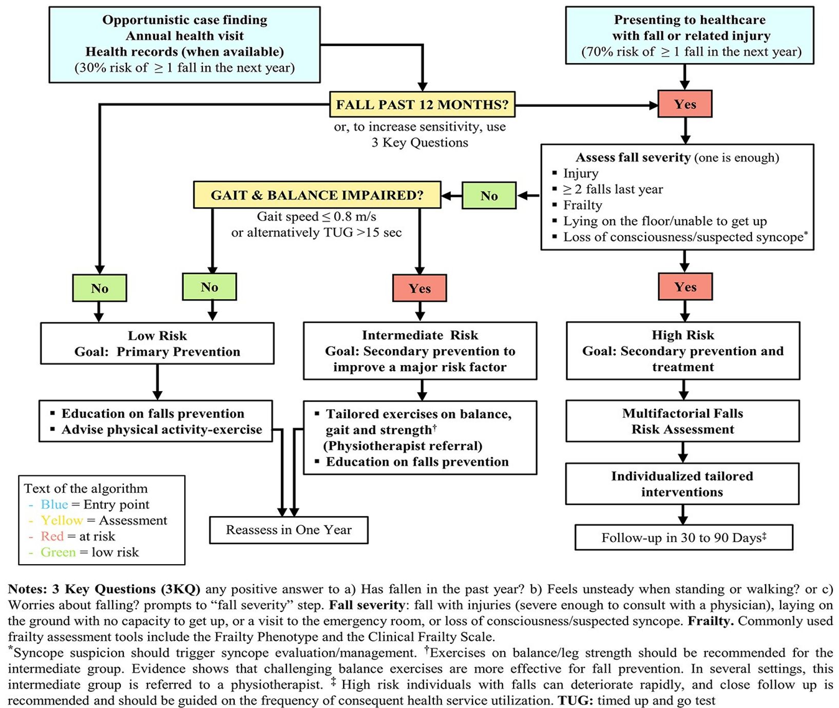 Figure 1. World falls guidelines algorithm for the identification and assessment of falls risk.
