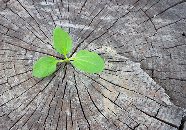 Sustainability in general practice: Why it matters and where to begin