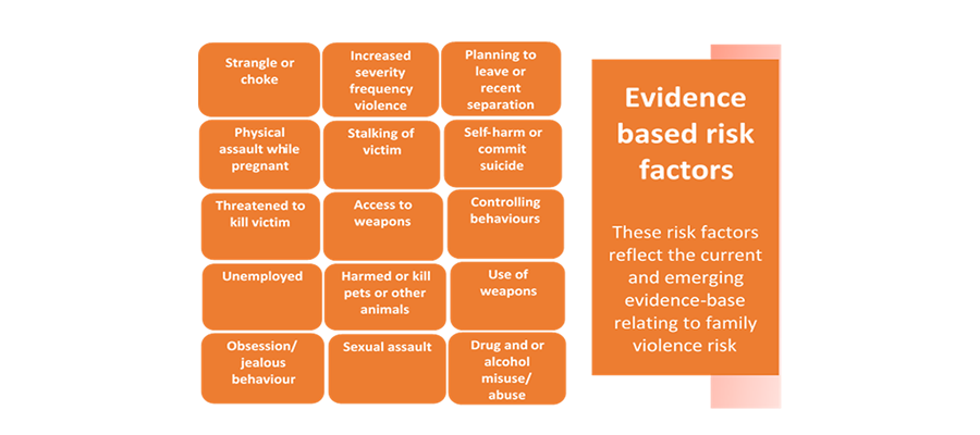 Tool 3.1. Evidence-based risk factors