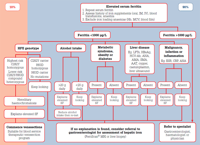 Figure 1. Algorithm for the investigation and management of elevated serum ferritin in general practice