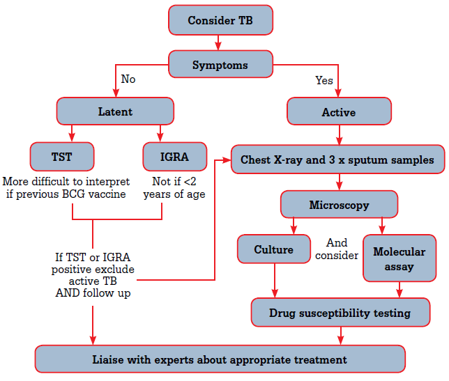Figure 1. Investigations when considering a diagnosis of TB