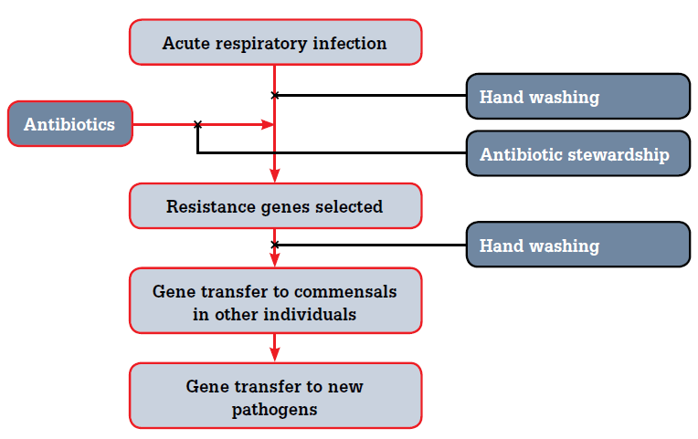 Figure 1. Causes of antibiotic resistance