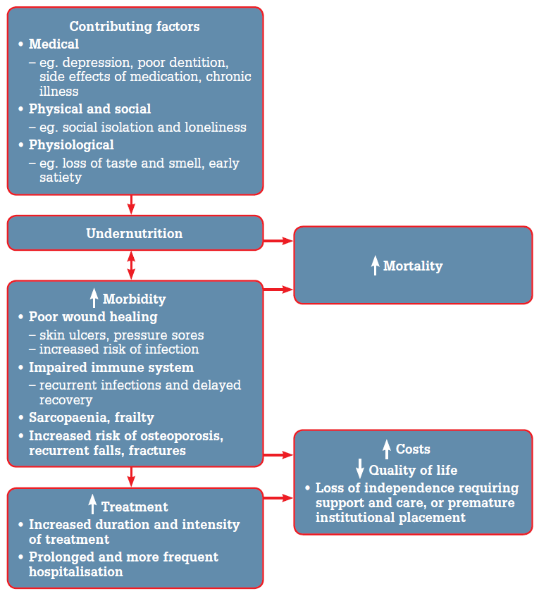 Figure 1. Contributing factors and health outcomes associated with undernutrition1,3,5,7,22