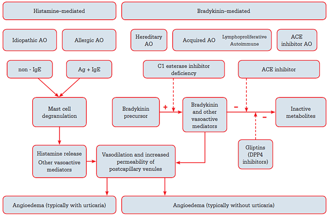 Figure 1. Schematic representation of mechanism and clinical features of major angioedema syndromes