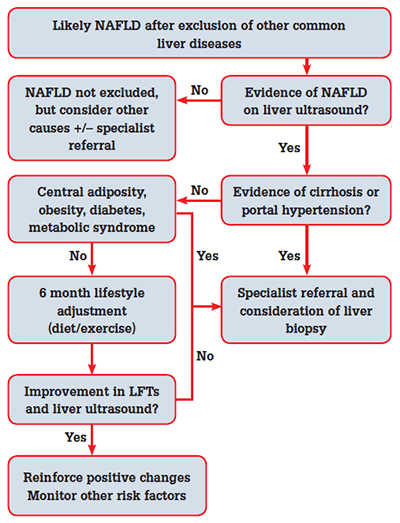 Figure 2. Algorithm for management of suspected NAFLD