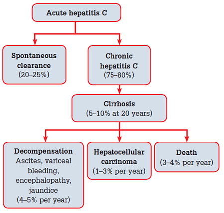 Figure 1. Natural history of hepatitis C virus