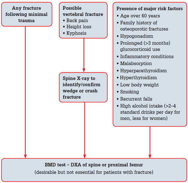 Figure 1. The RAGCP recommendations for bone mineral density scanning