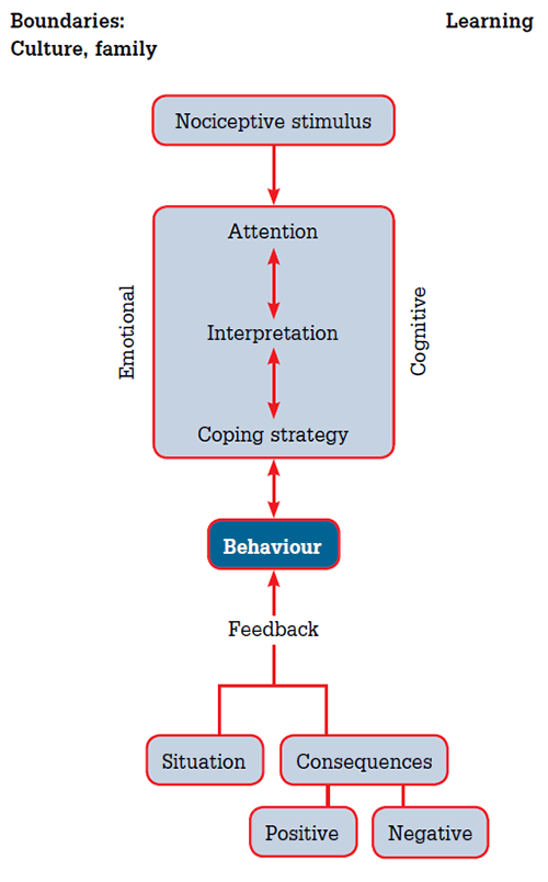 Figure 1. Pain perception pathways