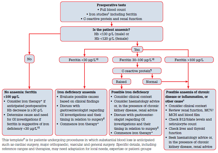 Figure 1. Preoperative haemoglobin assessment and optimisation template