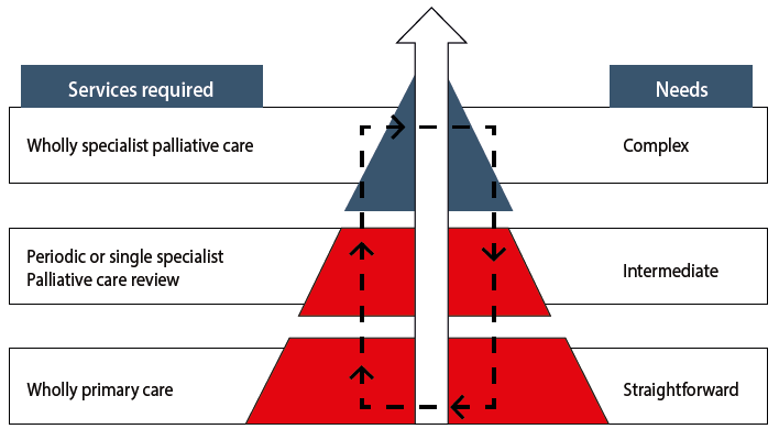 Figure 1. Needs-based palliative care model