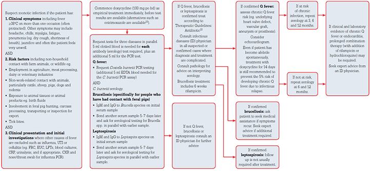 Figure 1. Algorithm for diagnosis and management of zoonotic infections (brucellosis, Q fever, leptospirosis)