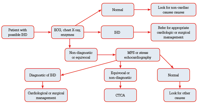 Figure 5. Diagnostic algorithm