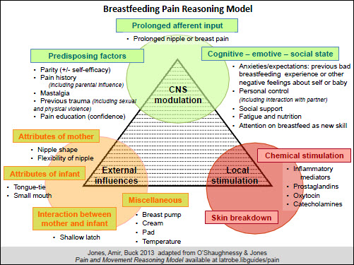 RACGP - Nipple pain associated with breastfeeding: incorporating current  neurophysiology into clinical reasoning