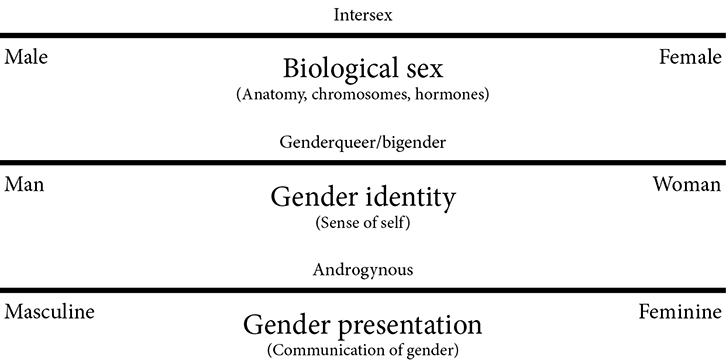 Sexual Orientation Spectrum Test