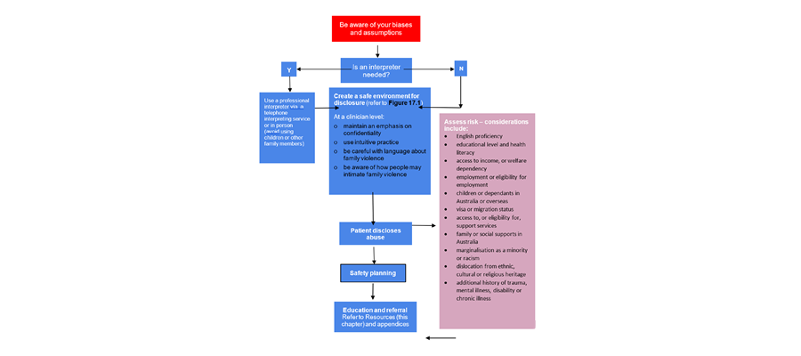 Figure 17.2. Considerations for assessing and managing patients from migrant and refugee backgrounds who might be or are experiencing intimate partner abuse