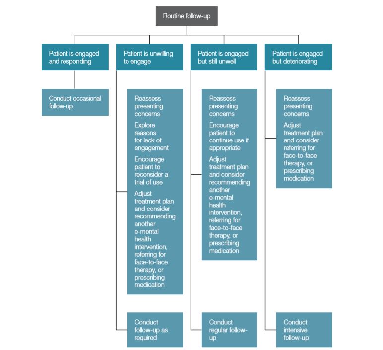 Figure 1. A model for follow-up of patients using e-mental health interventions