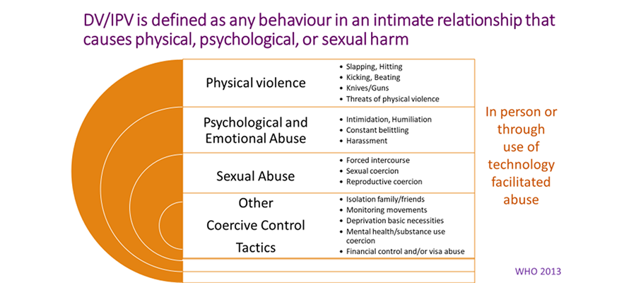 Figure 1.2. Forms of abuse and violence