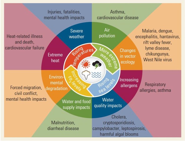 Figure 1: Impacts of Climate Change on Human Health