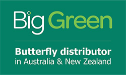 Big Green